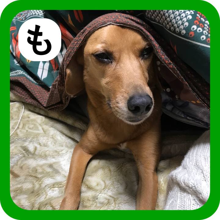 A1e30b52 5f86 4f38 9b69 86a6aa981f54 1514771875086