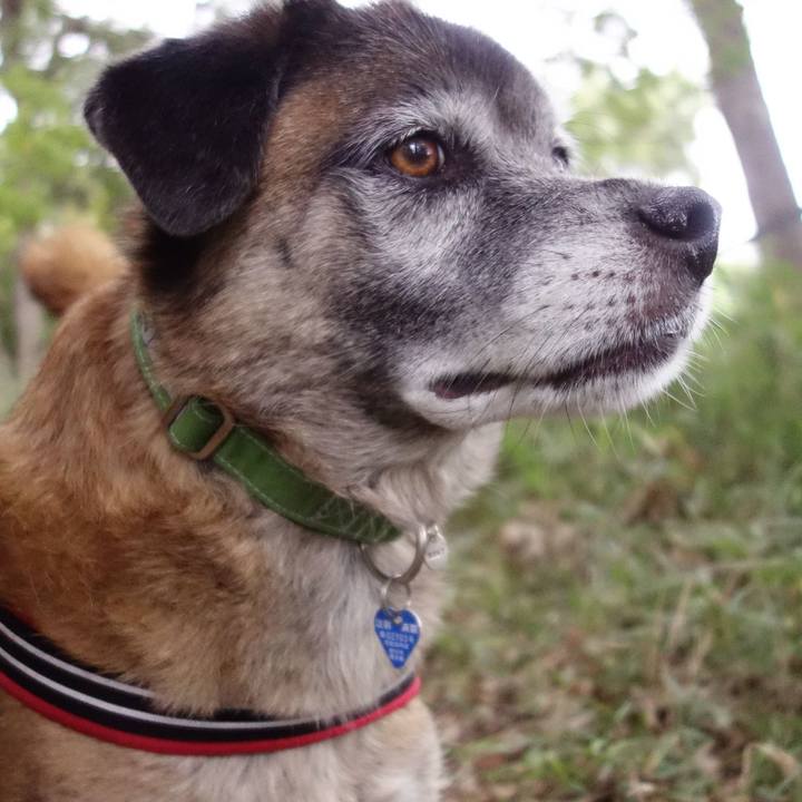 A1e31d7f 365d 478c af25 e8417cb04de5 1649379783709