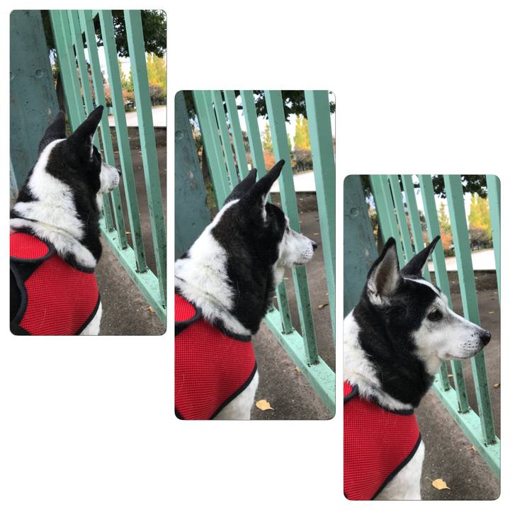 A1e3250a 6178 4be9 a55b d4bbc96e1bad 1509873637134