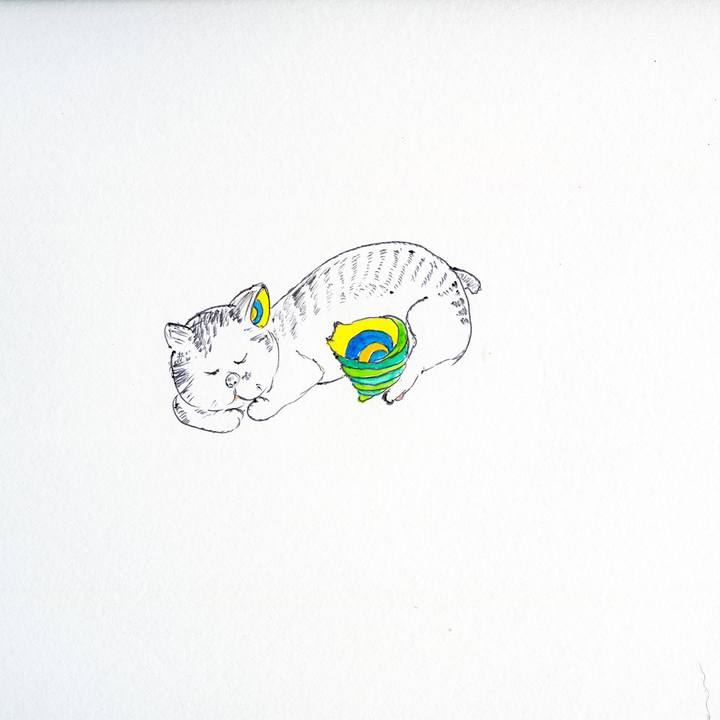 A1e343a4 bae9 449c 9771 c15825cbb110 1598532056593