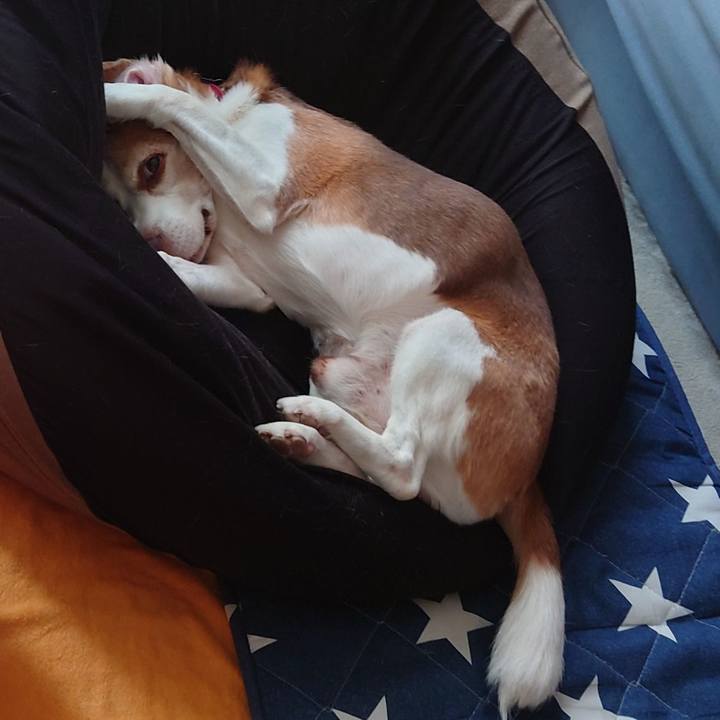 A1e3bac7 1775 426f 926a 8d2e0d836da7 1754454621608