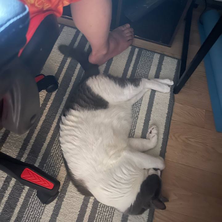 A1e40c95 fde1 40cf 896b 87bd578f867f 1755134198813