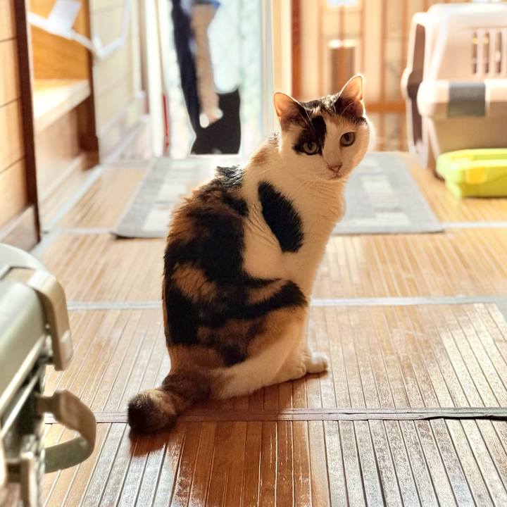 A1e41597 a5fb 454a 91ab 8913f82a7337 1752373165435