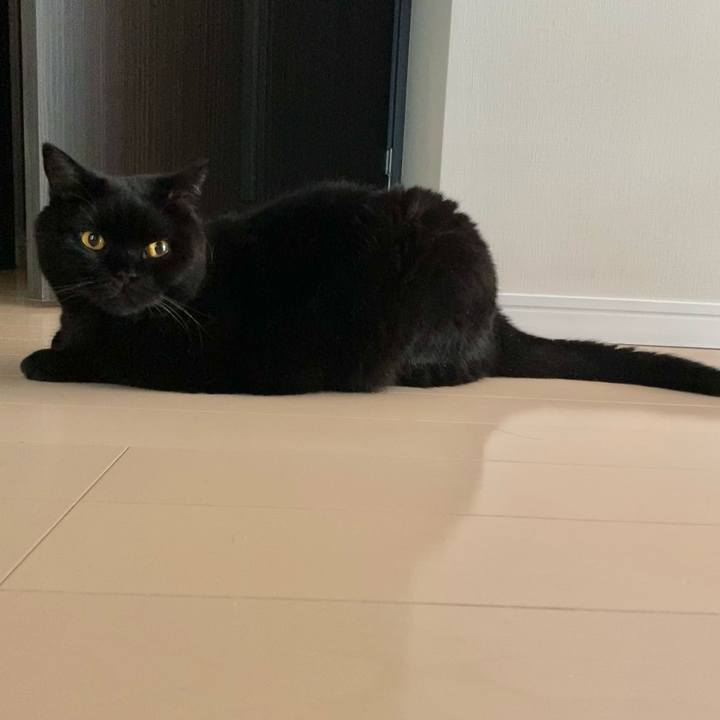 A1e41f0e 5f3e 428c 9c9b 30241c38ef05 1691915699461