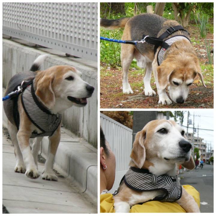 A1e420ad 89f4 4729 b4d1 dfbea938deab 1663805471342