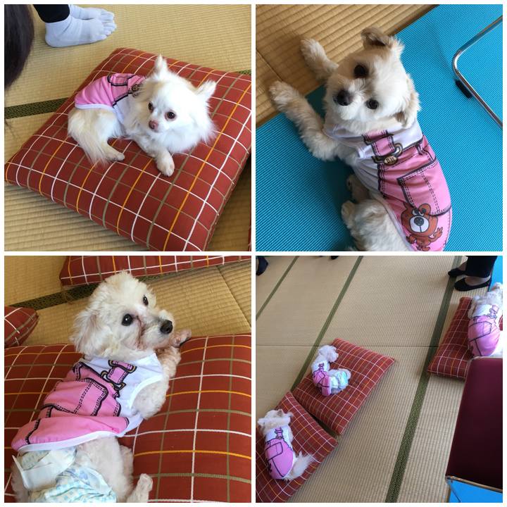 A1e43f19 8c87 483a 8e87 e990abccb089 1522983298872