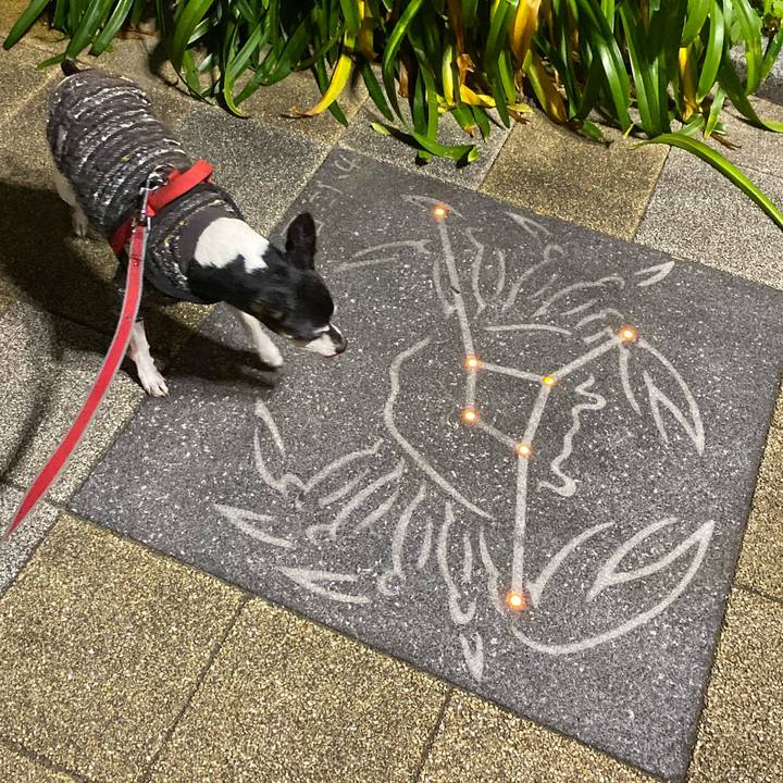 A1e4a99c 83c3 42d0 91ee 6fc5abd717e3 1575949462333