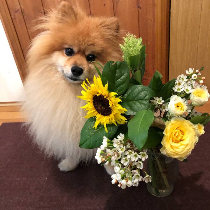 A1e4aa1e a9e2 4614 9e37 fe78b1a0c56a 1565950921128