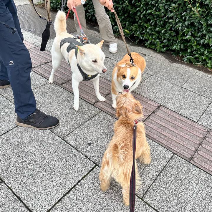 A1e4eb8c ff7a 421e b622 2d579d5c0696 1727533781707