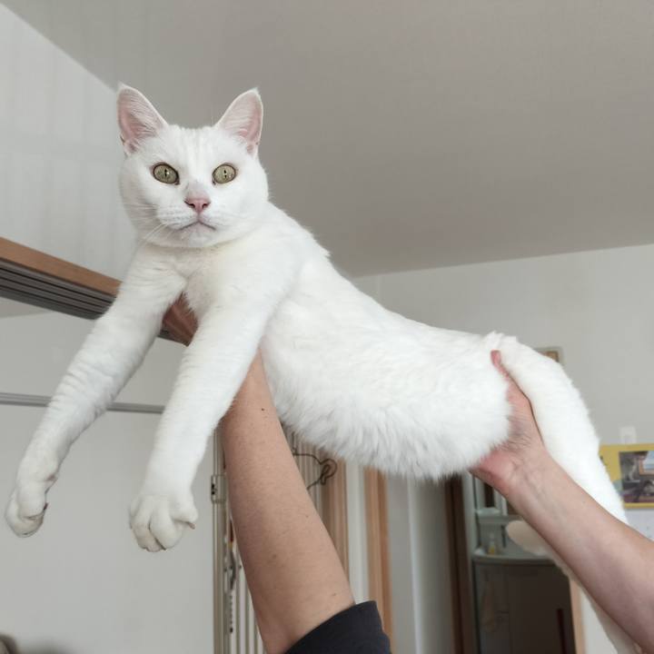 A1e52759 bee5 4ec9 aa68 a46b4d27d35c 1768739159263