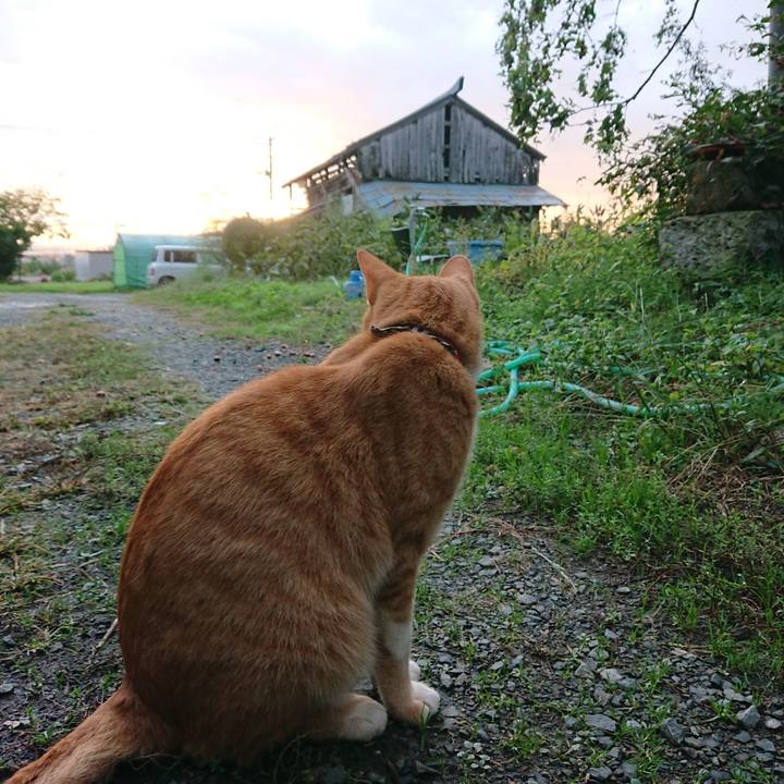 A1e53b5c de74 4a33 b67e e421ae7f2b77 1570223695752