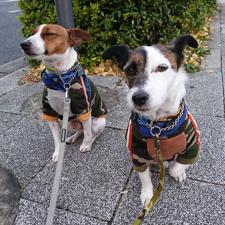 A1e56655 958d 49ff 9cd2 2c52bbb0b604 1609800968190