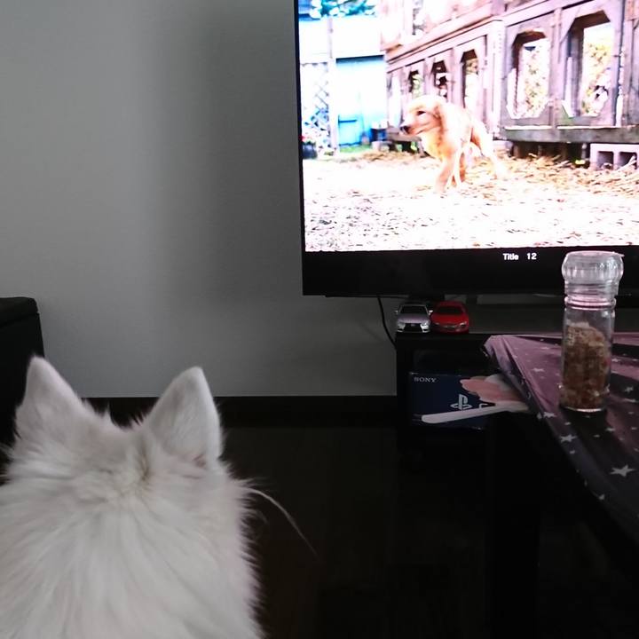 A1e5757e fdb3 4fda 821b e3ff3fdc91a2 1537940721275