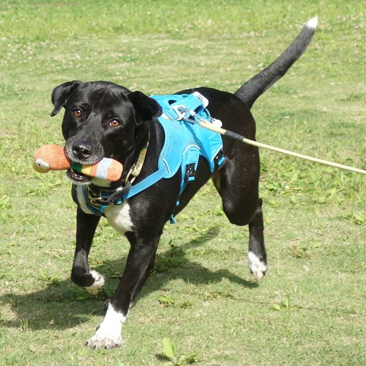 A1e5929a f9a1 4265 baec 968fcd398de0 1620091055566