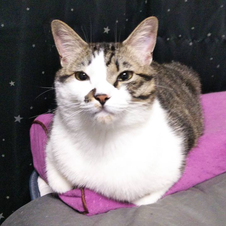 A1e5a083 ae5a 4b6a 9be3 195374159c5a 1639002464991