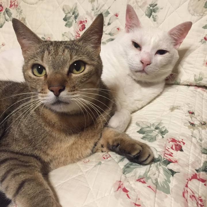 A1e5a79e 17c4 4862 8a19 ba893a257e3d 1562075158479