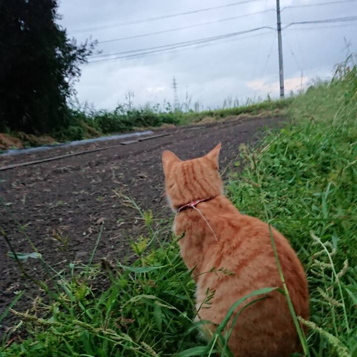 A1e5ba37 7d8a 4e3b 82d7 cff5bc9dcab1 1566984672340