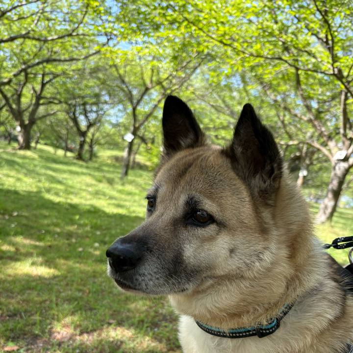 A1e5c243 74ad 4473 8fc9 252faa18c91f 1745757674159