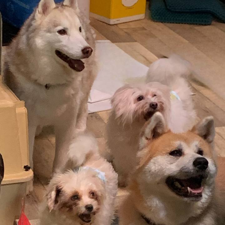 A1e5d75a 72a2 4f95 a28b e9ed6306461d 1727513812889