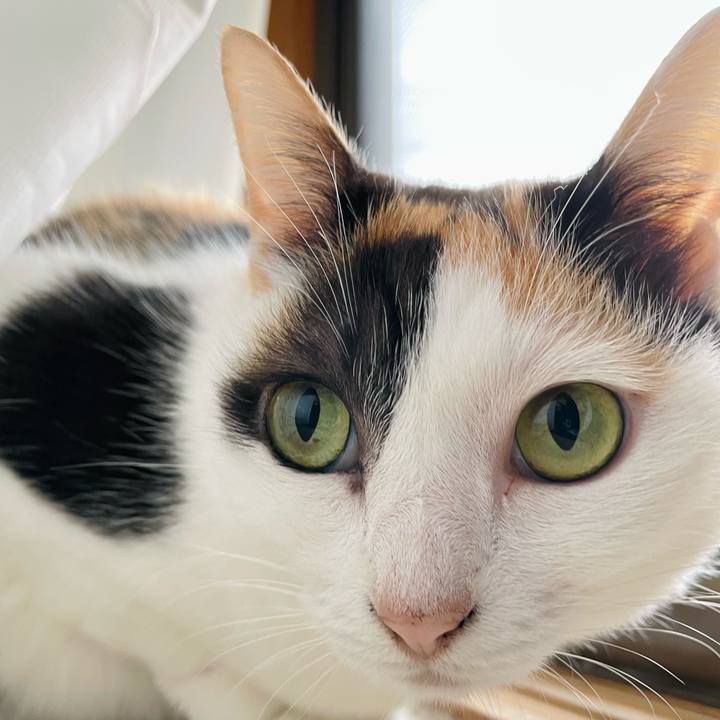 A1e5e6cc d7a7 4982 9d3b 50153340c495 1636766937455