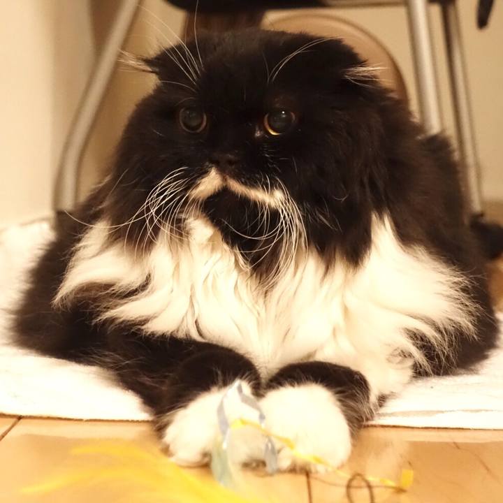 A1e5eec1 3f06 4bff bd52 0cfc3ba2303f 1520433715275