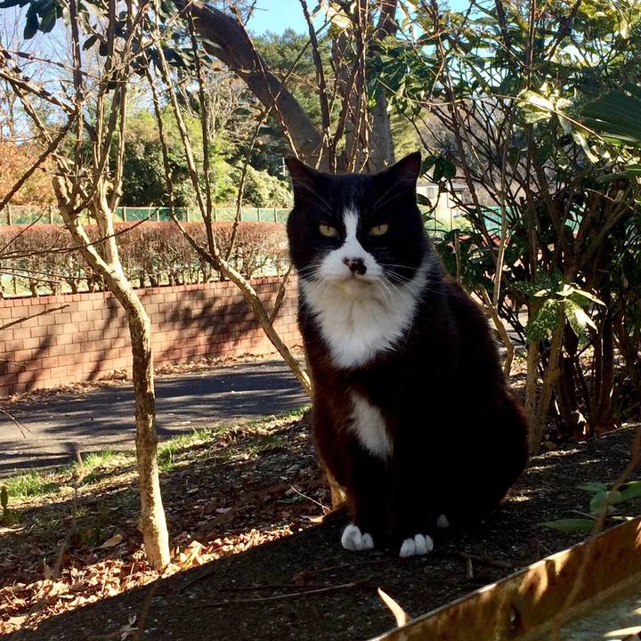 A1e60000 3804 4e5c ac40 18bdd4a06050 1514468911839