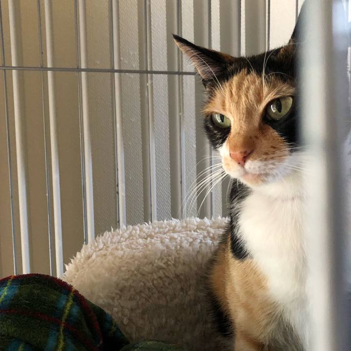 A1e61863 31ee 4bd2 9e84 a7c46c01fa6c 1552796550756