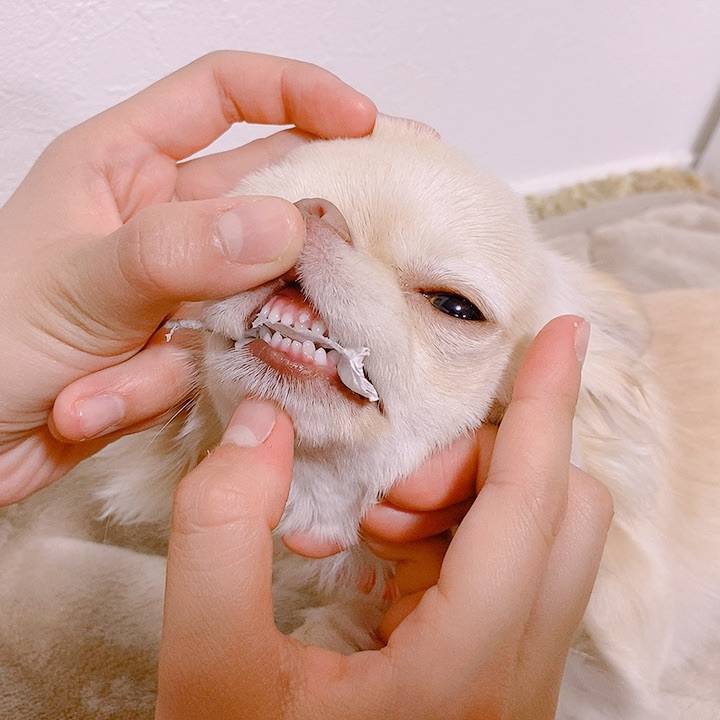 A1e629b7 f0b1 49e4 8cc9 74c26b1f6f52 1617265065467