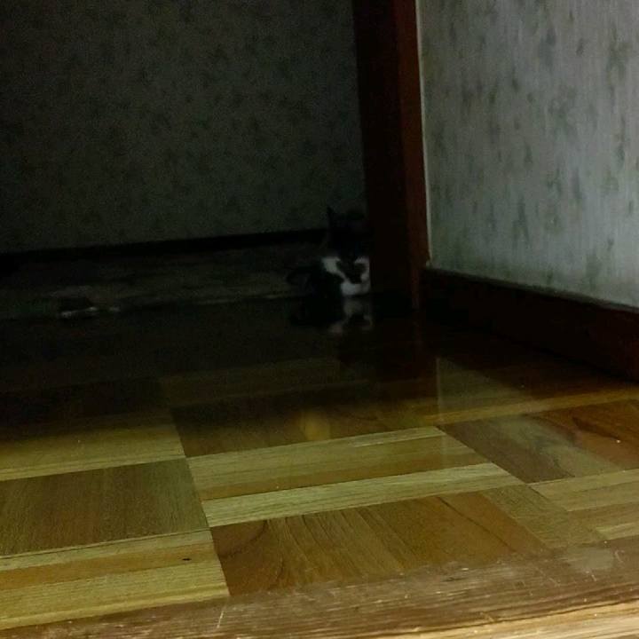 A1e62a0a 55d5 4e9b 8822 410fbcf22814 1594291389151