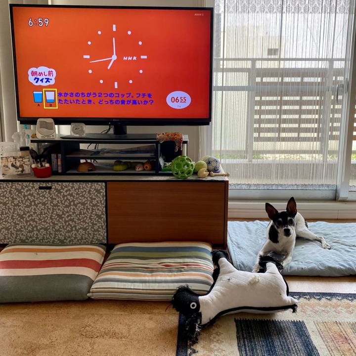 A1e68136 83ac 47bc 8be1 b42ba1ed182e 1625046148567