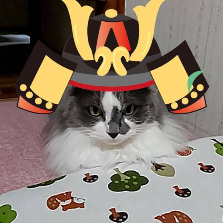 A1e6c1d7 e56d 4160 ac47 ec8a75c4f083 1620639674892