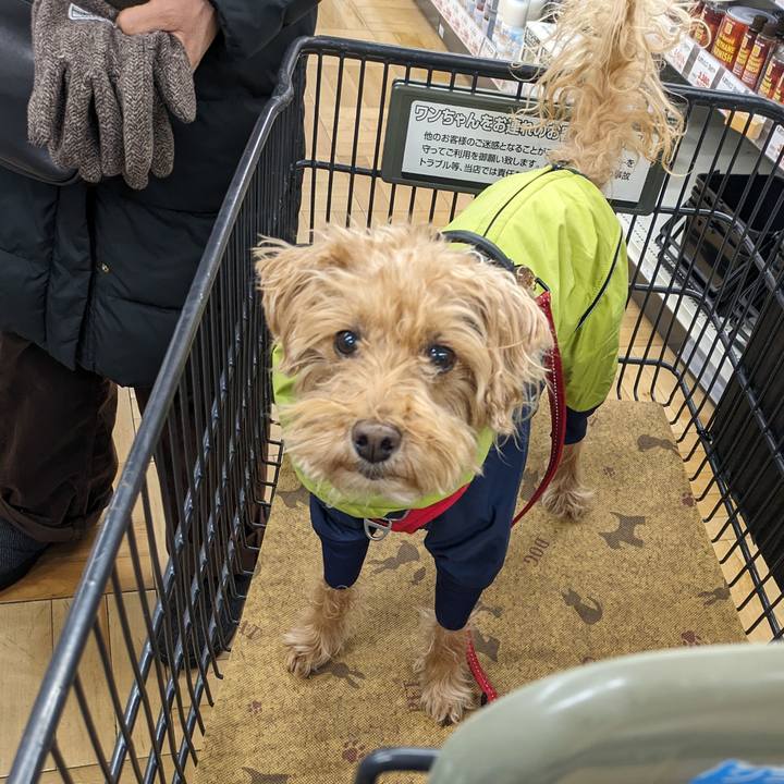 A1e6d481 0985 46aa 8a96 5df7f05926ec 1709516894866