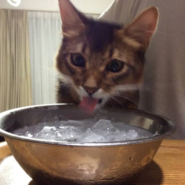 A1e6d959 77e7 47db 9195 7ecd459ee403 1565703910087