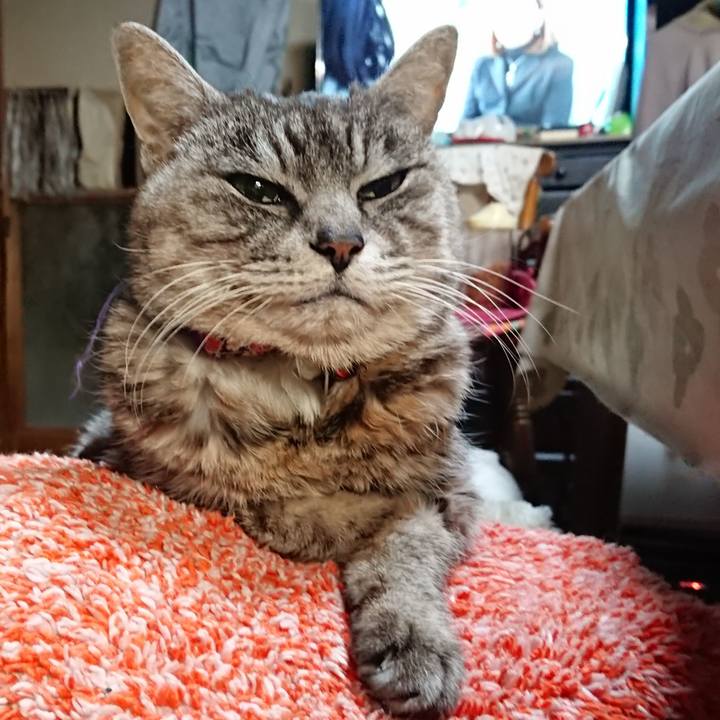 A1e6e457 f9ce 471c a061 57eb88fff446 1581282667638