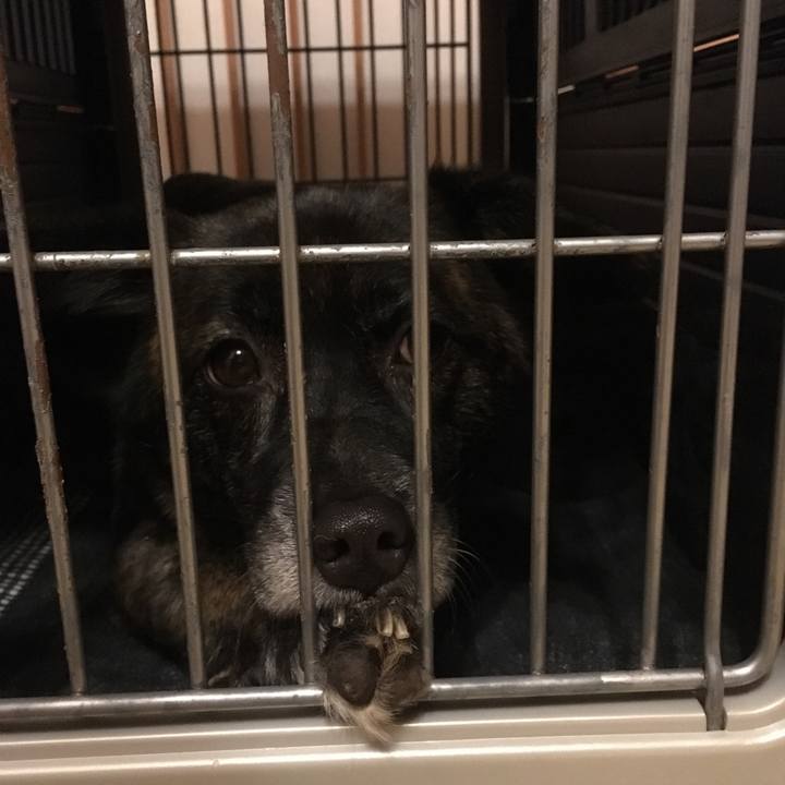 A1e6eb9e c466 48f4 b4b4 270f2efbad2f 1512859204867