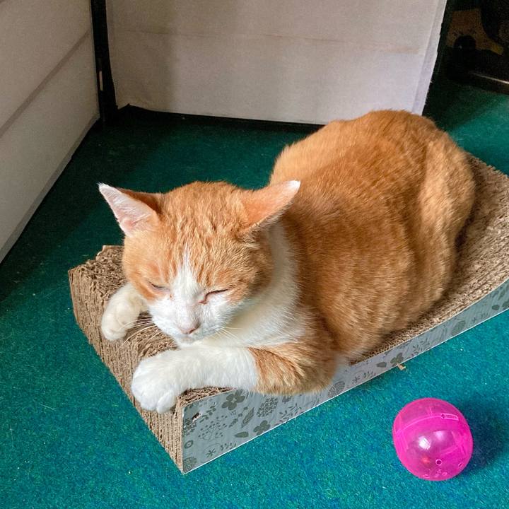 A1e6f3c6 b7be 44d5 8fb0 a9b2c385ad1f 1693087368613