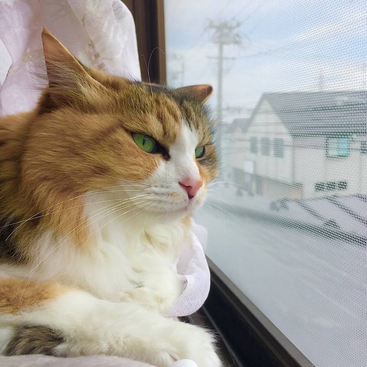 A1e71b95 5b8c 40ac 895b 7e57fdafb661 1618098828680