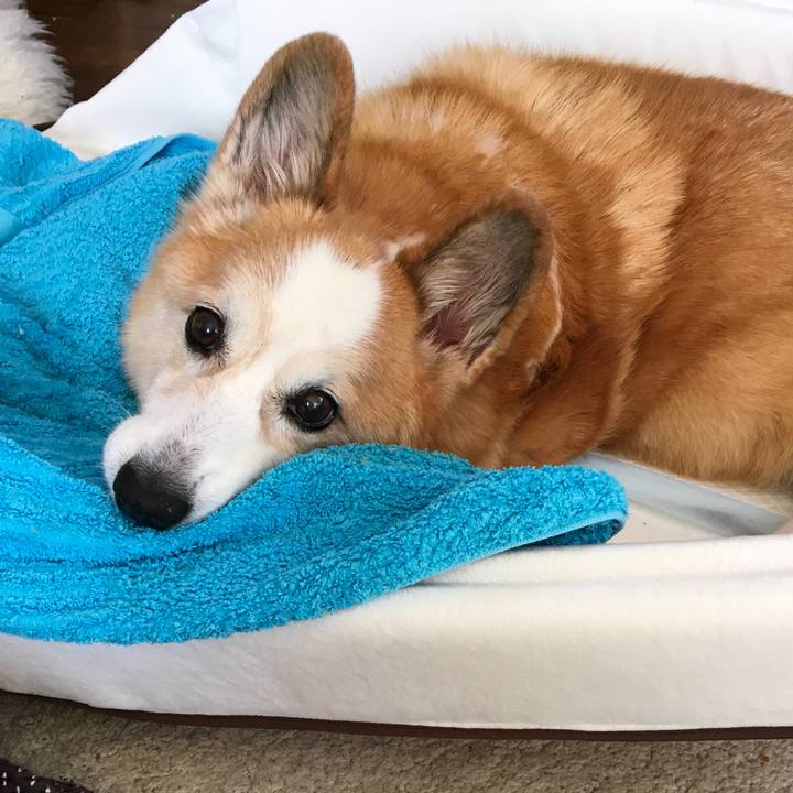 A1e72439 14ca 4500 b878 2e52095aac1f 1605547763339