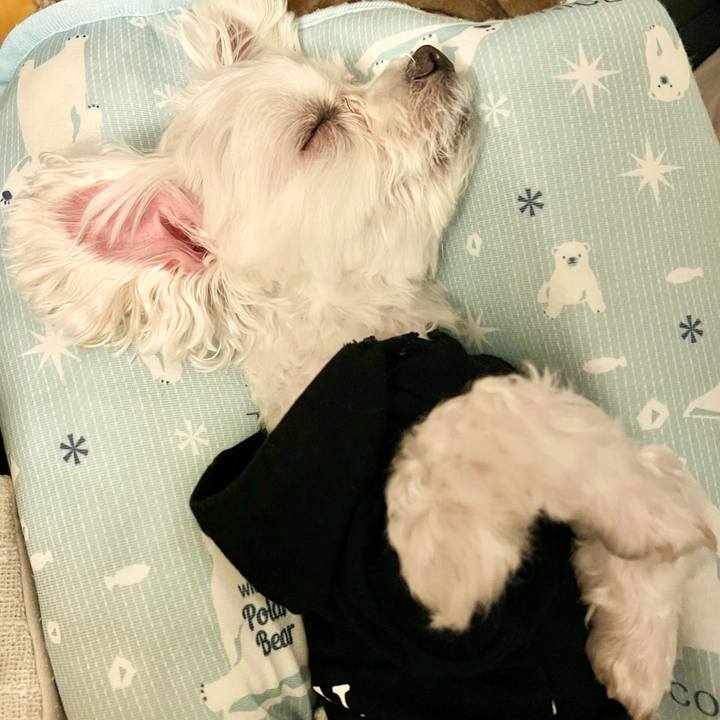 A1e7259e 421b 4be7 b01e 39b381208e10 1649928343083