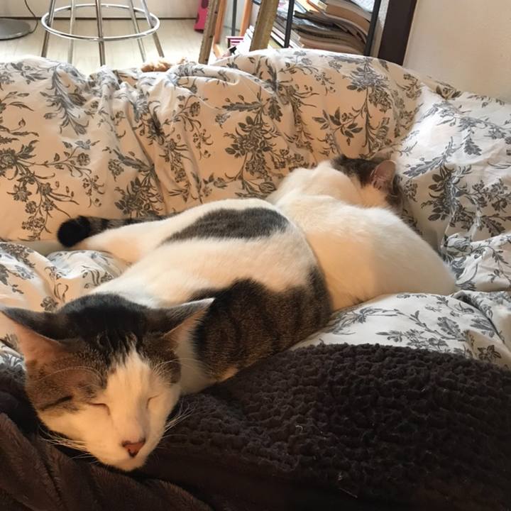 A1e72c75 6ccf 4563 b1f2 317de70e0065 1541997009119