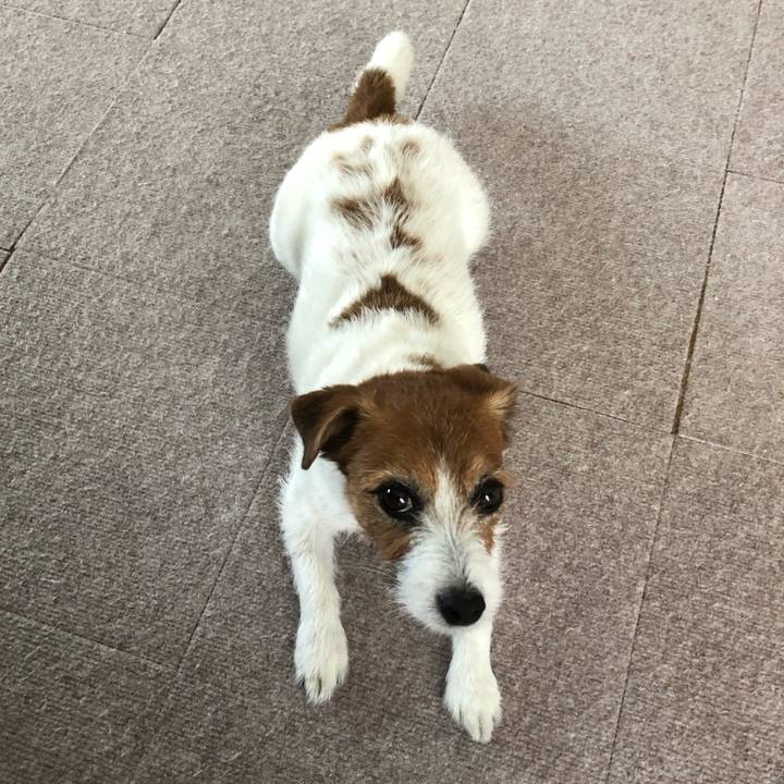 A1e73127 3eeb 4ae4 9a28 abde7378f058 1591270155420