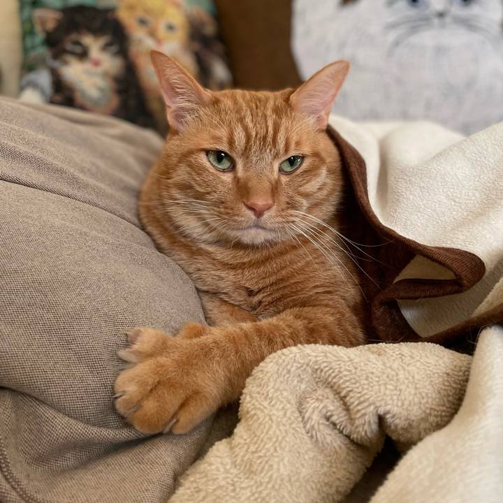 A1e76d19 28ff 4268 a161 1ee89f605b20 1639391511051