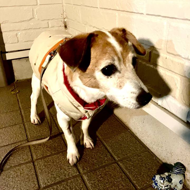 A1e7996c 11a4 40a7 8117 1d8aef2b1a57 1699363948400