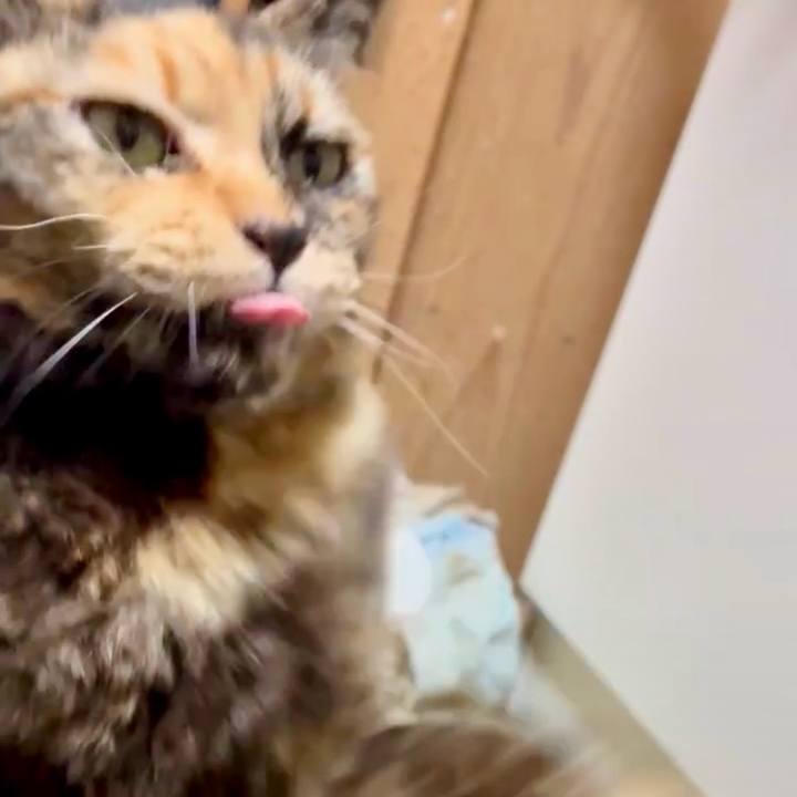 A1e7cdbf 9ec0 4f70 8585 097f7a40012f 1770152597500