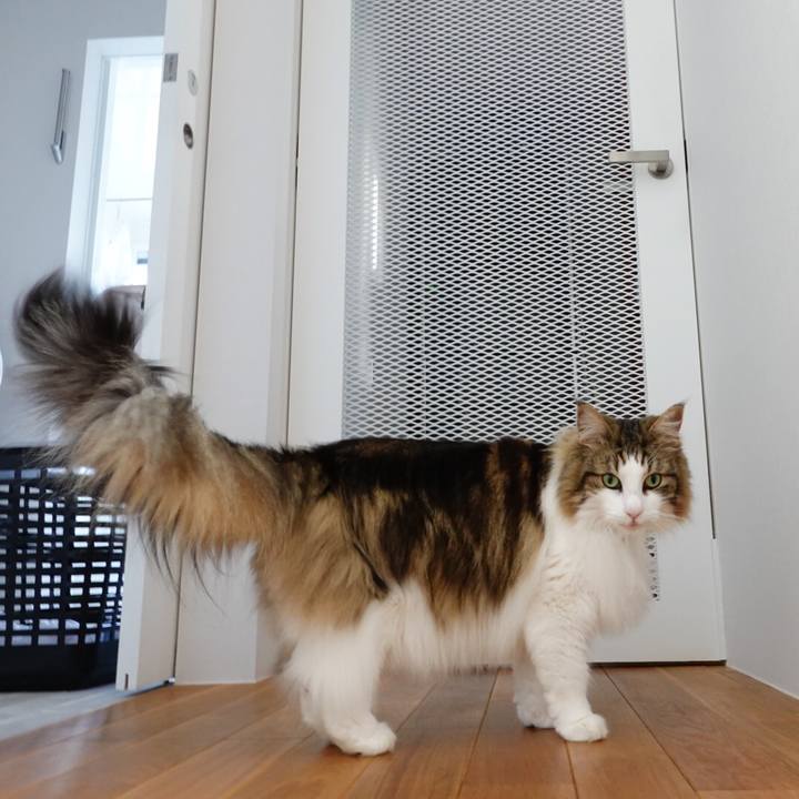 A1e7d1d6 a60a 45fa 98ae c55edd4ee03c 1588581371763