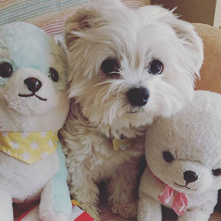 A1e7dd75 6df0 4cc1 a422 5f1d9584d9fd 1586925843532