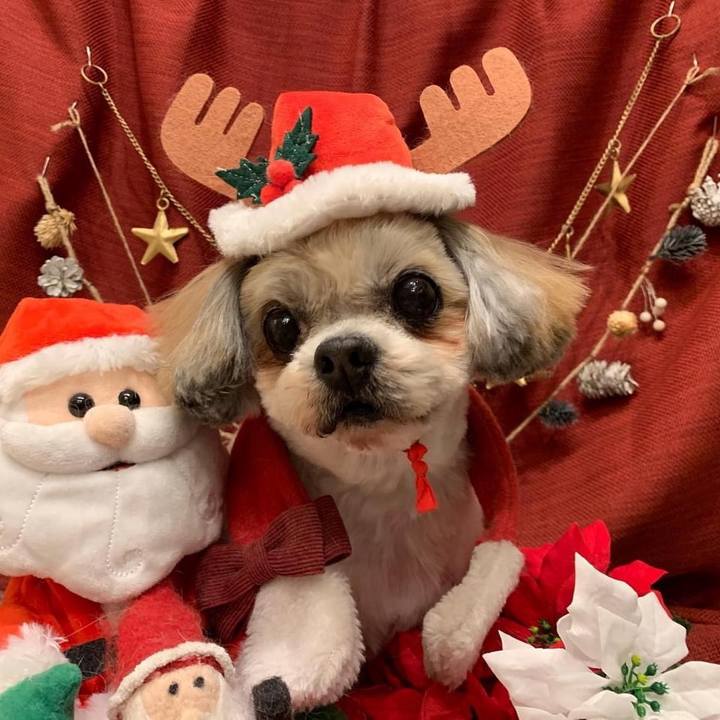 A1e7f584 6526 43b2 9213 8111a1b31330 1766537820417