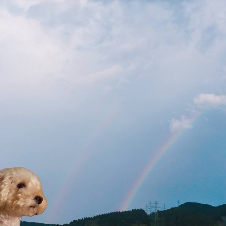 A1e7f8a2 e620 4150 a76c 12ef77ceb71c 1534238202005