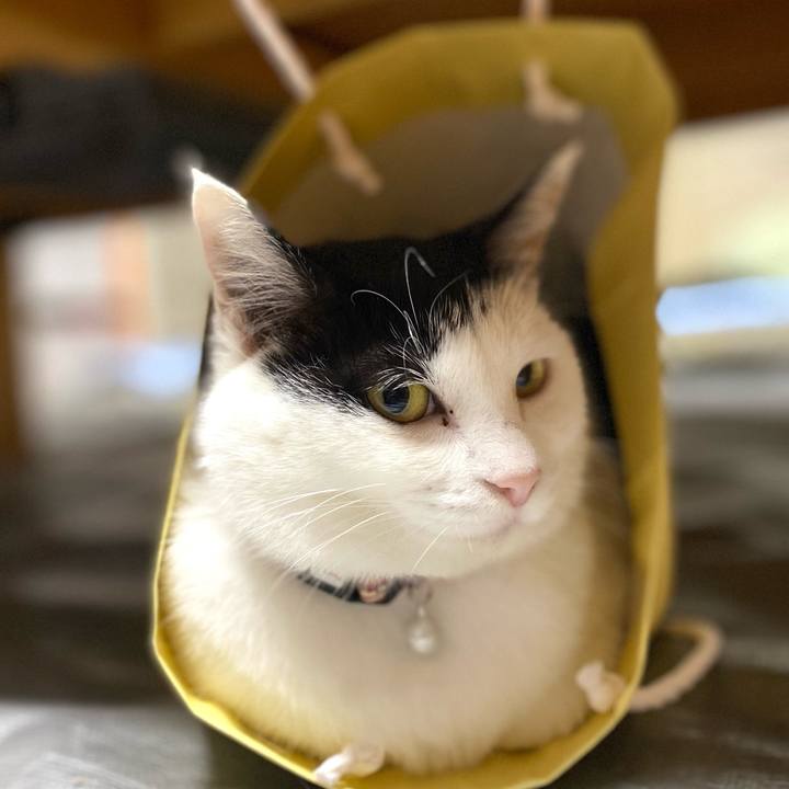 A1e804da 4555 48e2 b6c5 8c758e0e350e 1652369093160