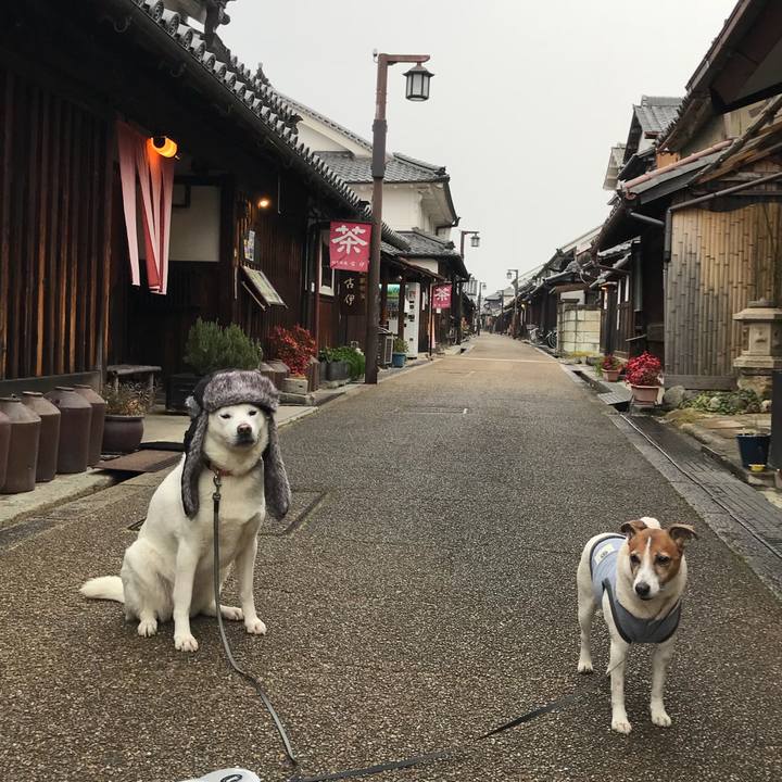 A1e80f66 606e 47c2 b89a 1833df72535e 1519546473359